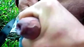 Natural post