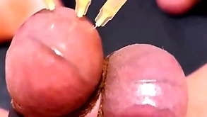 Testicle skewering cbt, edging & cumshot with 3 needles, precum & improbable balls