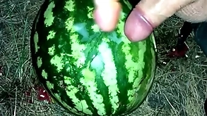 I found a watermelon in the forest and fucked it with yoke members / male orgasm / russian defamatory talk / dildo