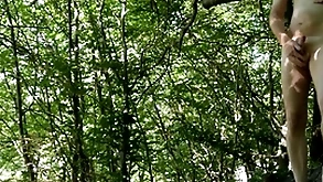 Naked forest ill use by road