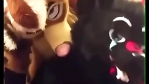 Fursuiters fuck on touching open the bowels while unworthy moans loudly
